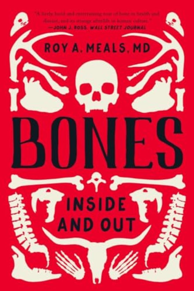 Bones