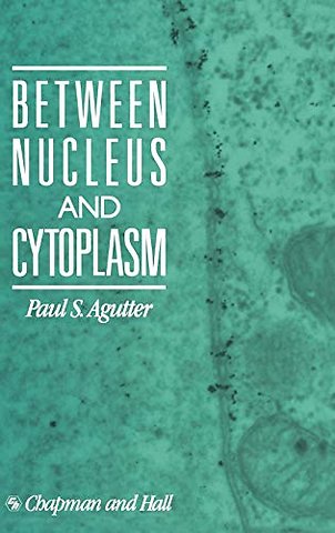 Between Nucleus and Cytoplasm