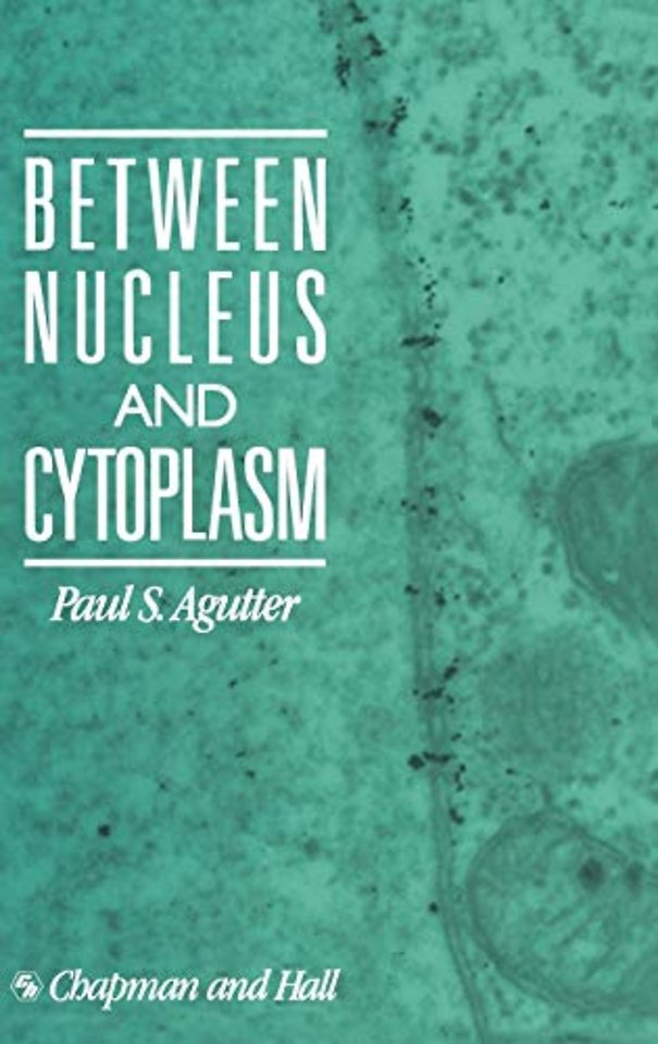 Between Nucleus and Cytoplasm