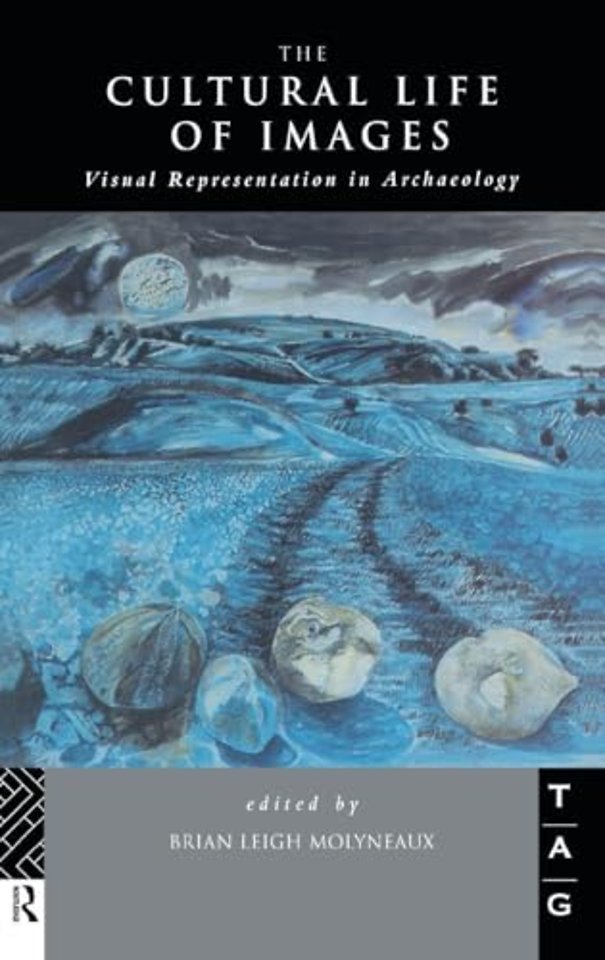 Cultural Life of Images