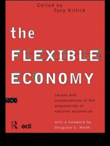 Flexible Economy
