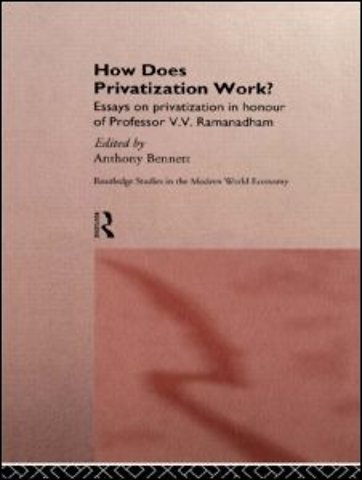 How Does Privatization Work?
