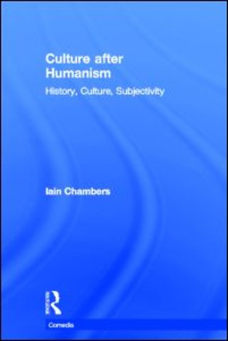 Culture after Humanism