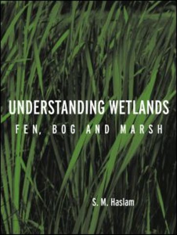 Understanding Wetlands