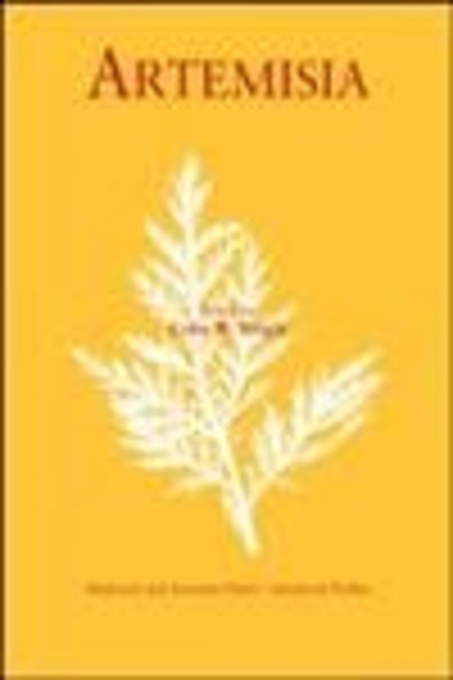 Artemisia