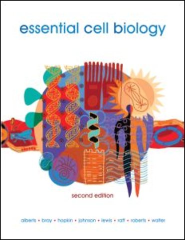 Risks of Medical Innovation