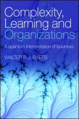 Complexity, Learning and Organizations