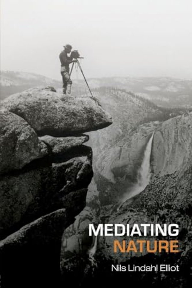 Mediating Nature