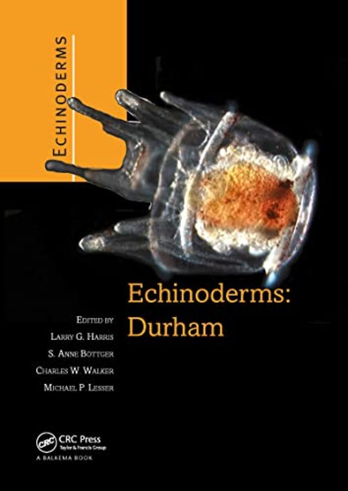 Echinoderms: Durham