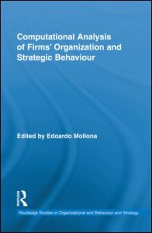 Computational Analysis of Firms' Organization and Strategic Behaviour