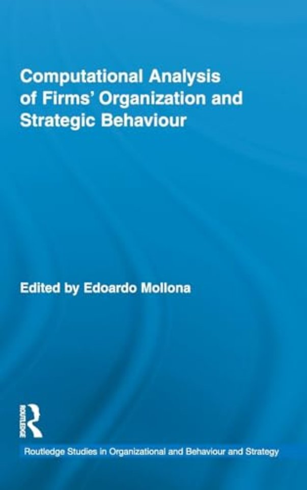Computational Analysis of Firms' Organization and Strategic Behaviour