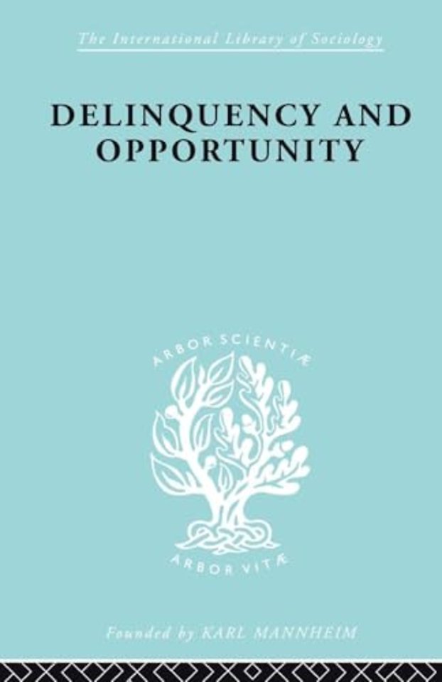 Delinquency and Opportunity