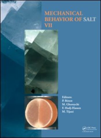 Mechanical Behaviour of Salt VII