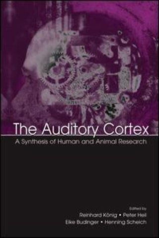 Auditory Cortex