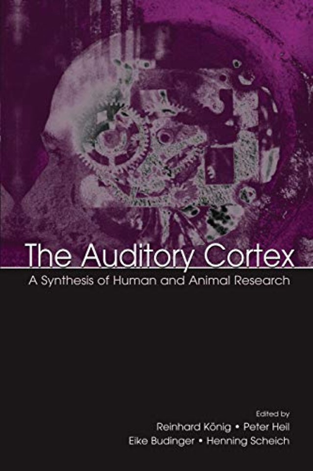 Auditory Cortex