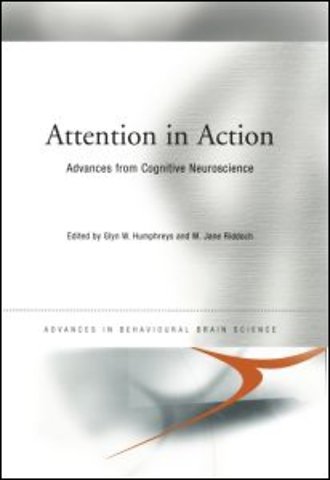 Attention in Action