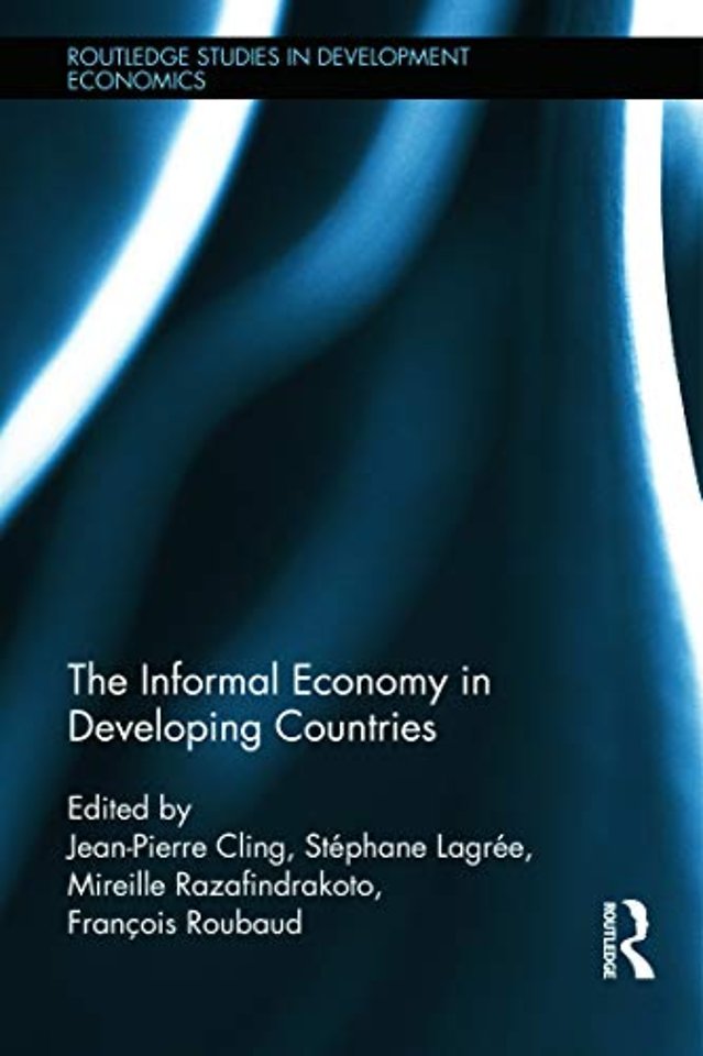 Informal Economy in Developing Countries