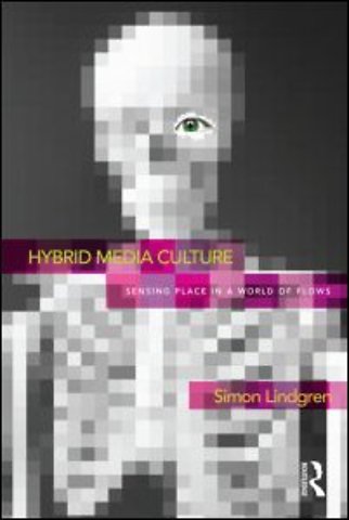 Hybrid Media Culture