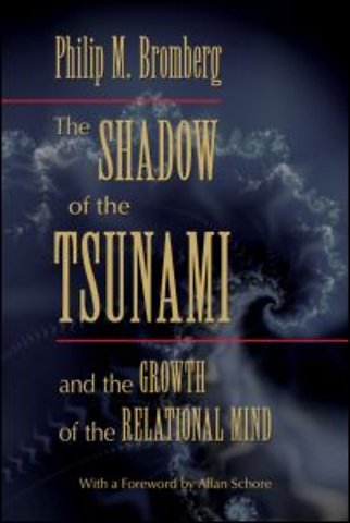Shadow of the Tsunami