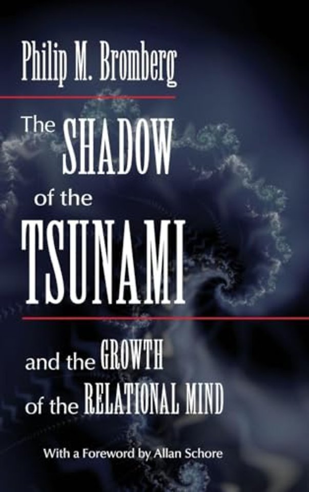 Shadow of the Tsunami