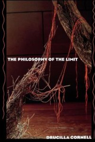 Philosophy of the Limit