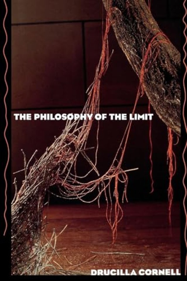 Philosophy of the Limit