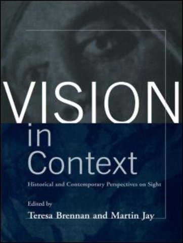 Vision in Context