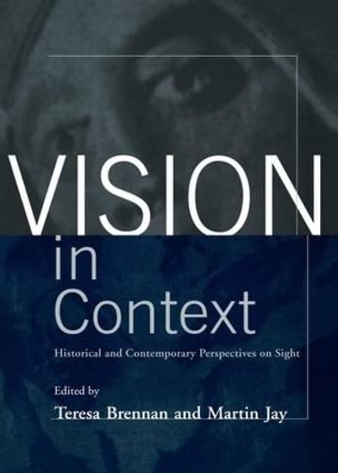 Vision in Context