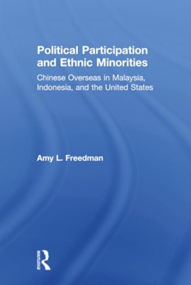 Political Participation and Ethnic Minorities