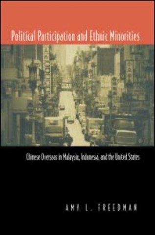 Political Participation and Ethnic Minorities