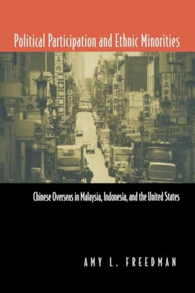 Political Participation and Ethnic Minorities