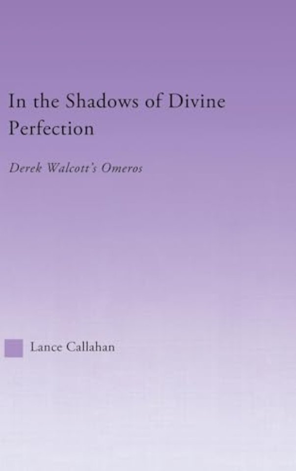In the Shadows of Divine Perfection