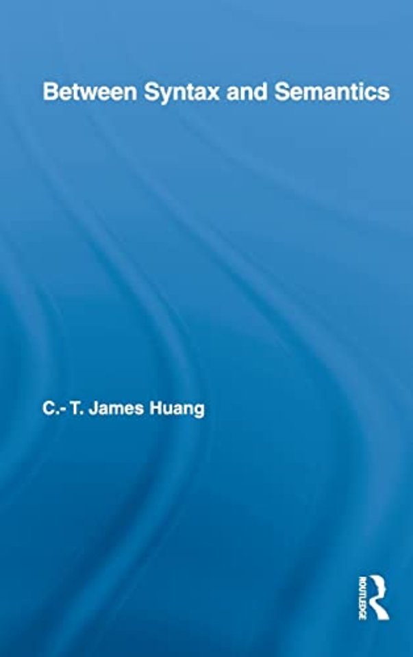 Between Syntax and Semantics