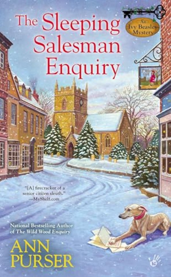 The Sleeping Salesman Enquiry