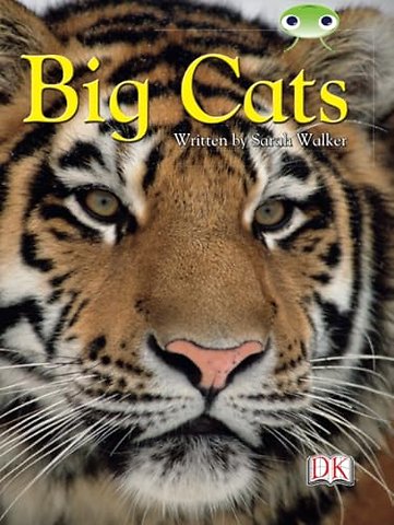 BC NF Brown B/3B Big Cats