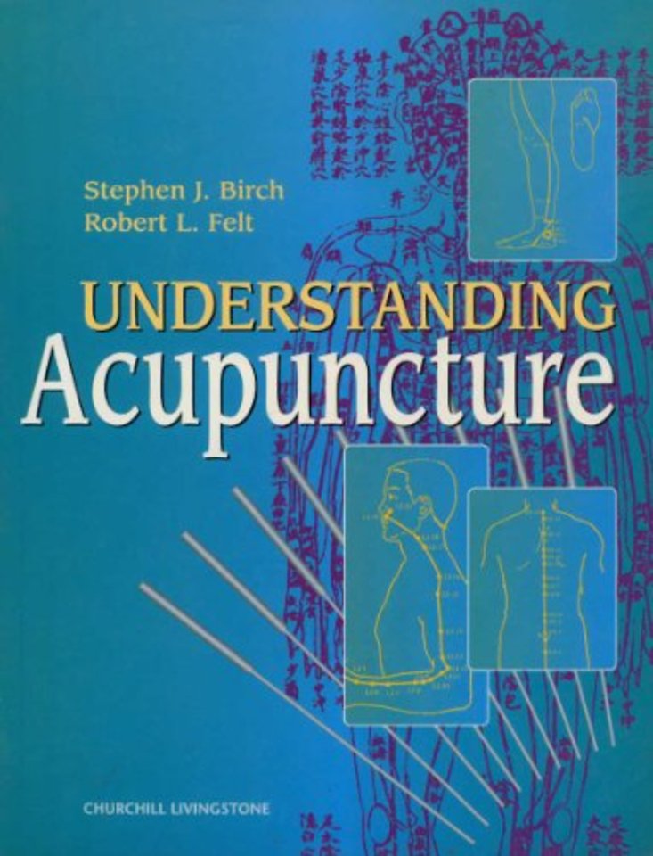 Understanding Acupuncture