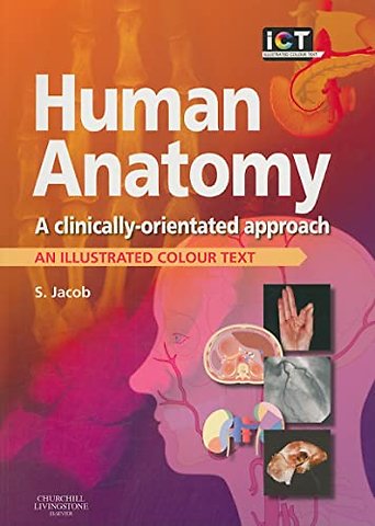 Human Anatomy