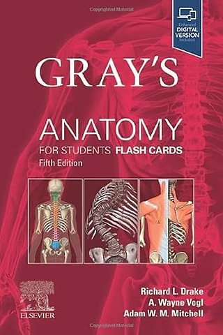 Gray's Anatomy for Students Flash Cards