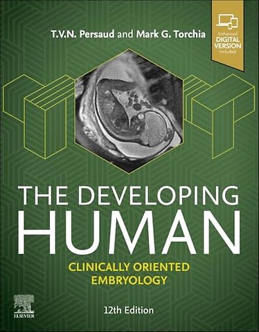 The Developing Human