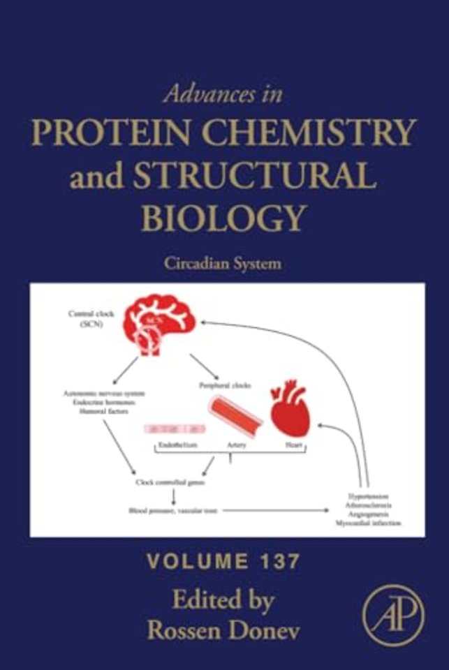 Circadian System