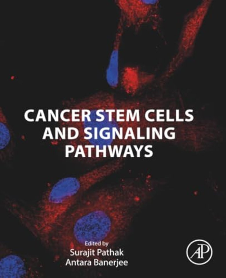 Cancer Stem Cells and Signaling Pathways