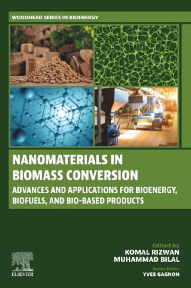 Nanomaterials in Biomass Conversion