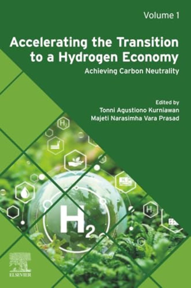 Accelerating the Transition to a Hydrogen Economy