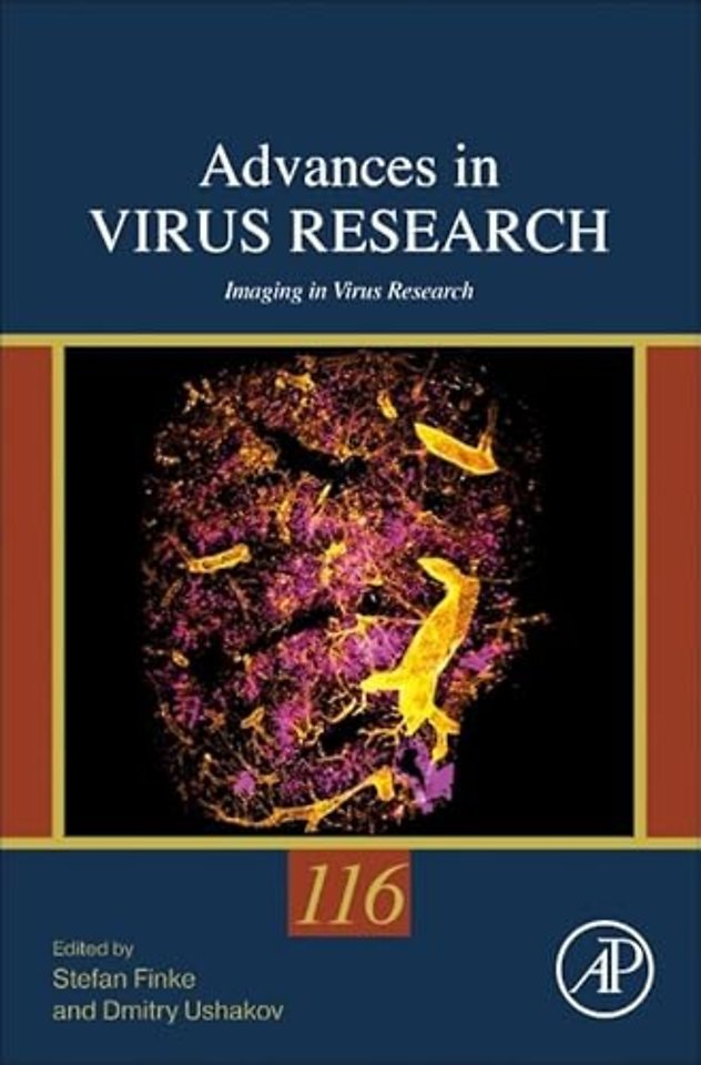 Imaging in Virus Research