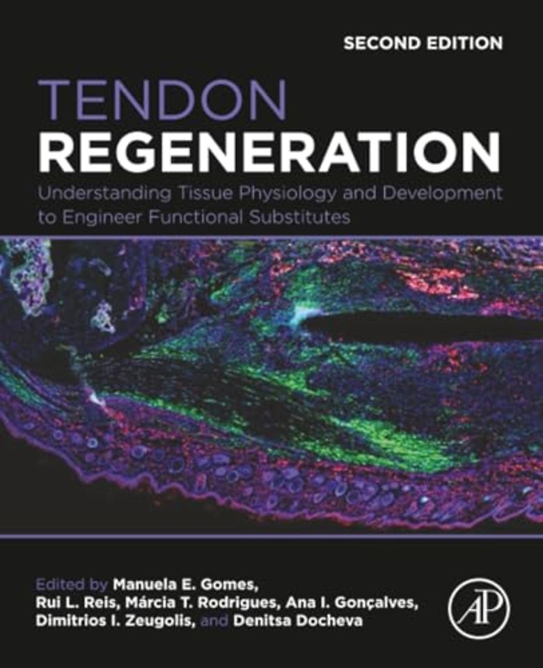 Tendon Regeneration