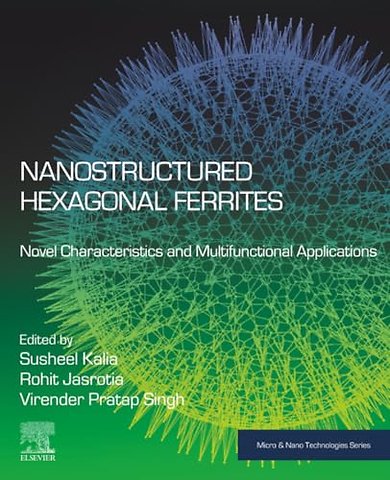 Nanostructured Hexagonal Ferrites