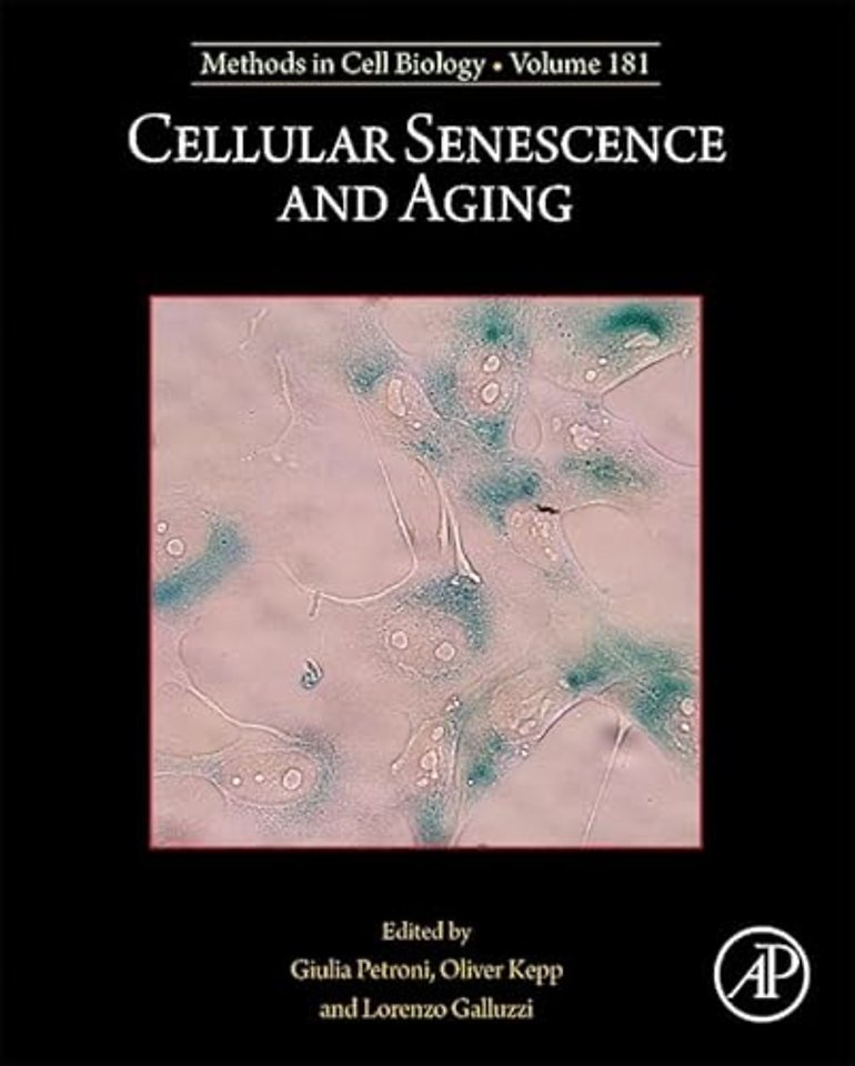 Cellular Senescence and Aging