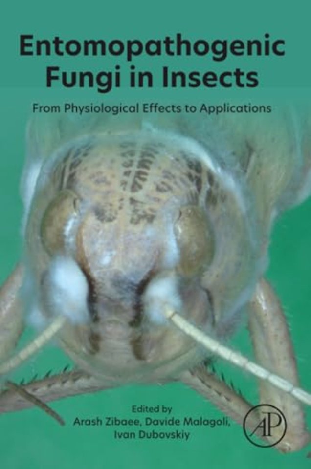Entomopathogenic Fungi in Insects