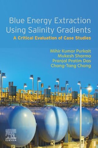 Blue Energy Extraction Using Salinity Gradients