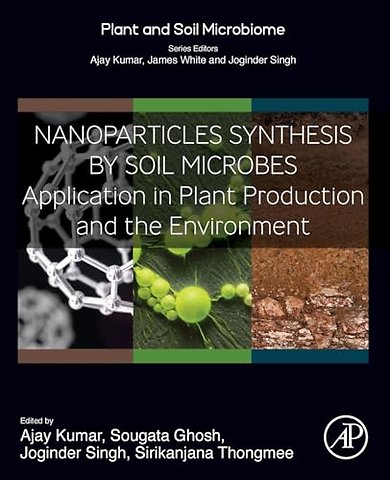 Nanoparticles Synthesis by Soil Microbes